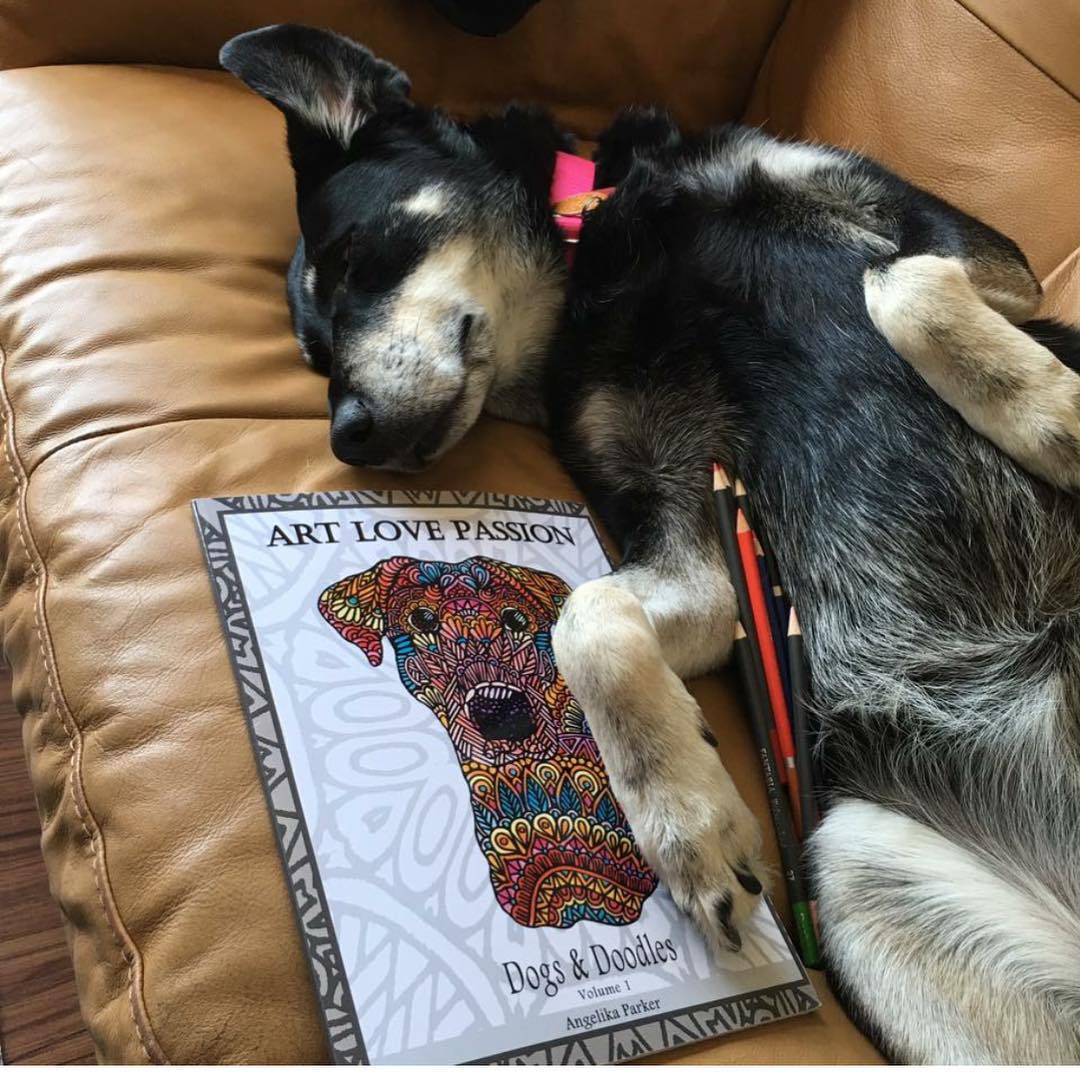 dog coloring book