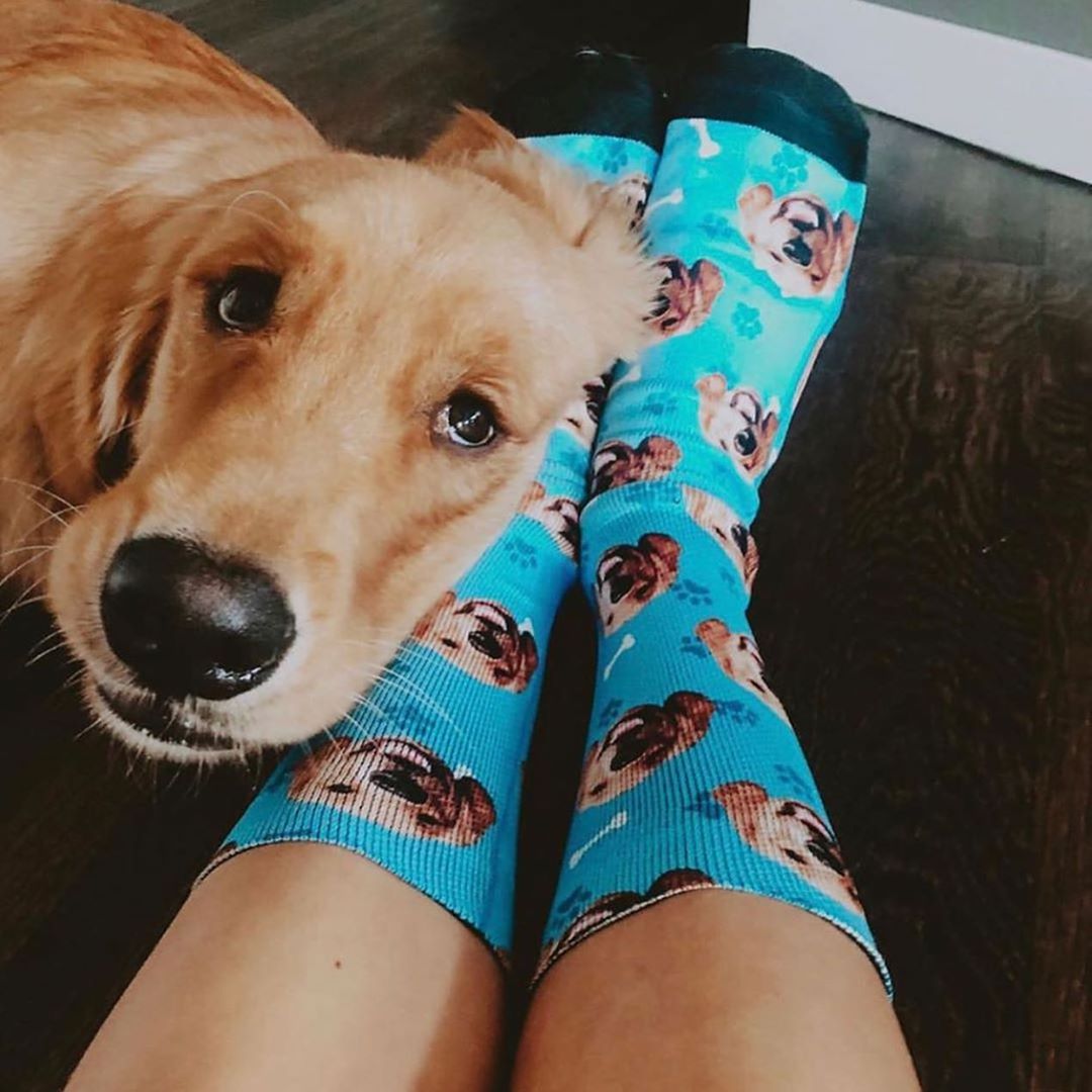 MyPicSocks dog socks