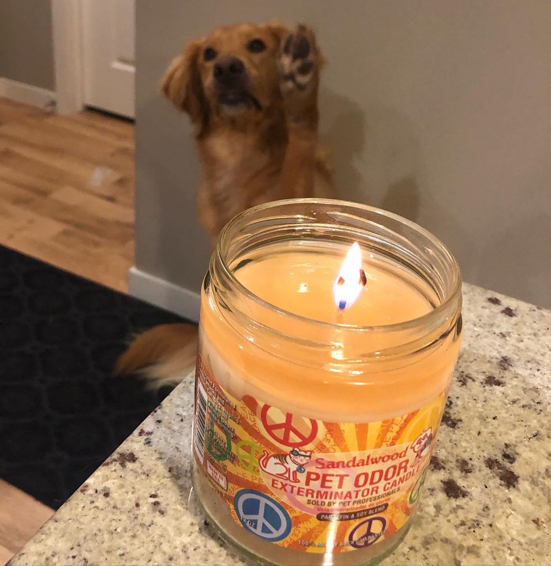 Pet oder candle
