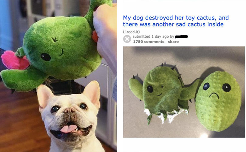 cactus dog toy with another inside
