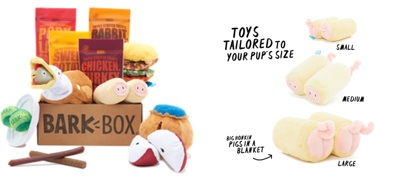 A toy blanket in pig barkbox BarkBox Admits