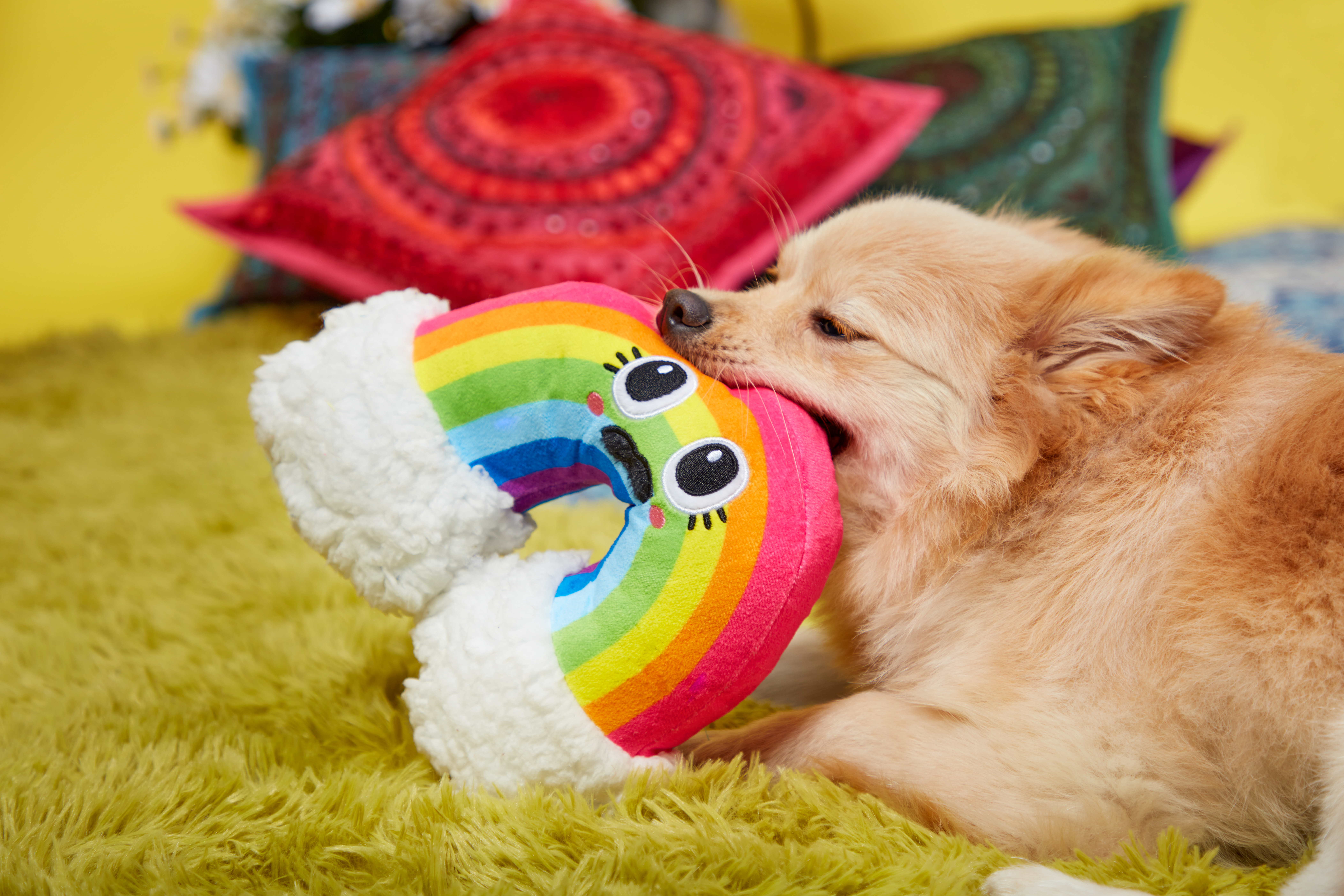 Right On! The BarkBox “Peace & Fluff” Collection Is The Best Thing Since Sliced Bread